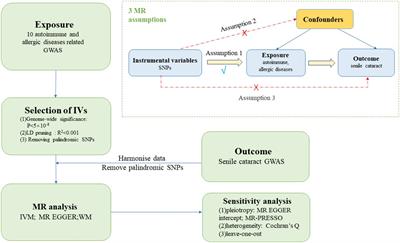 Association of autoimmune and allergic diseases with senile cataract: a bidirectional two-sample Mendelian randomization study